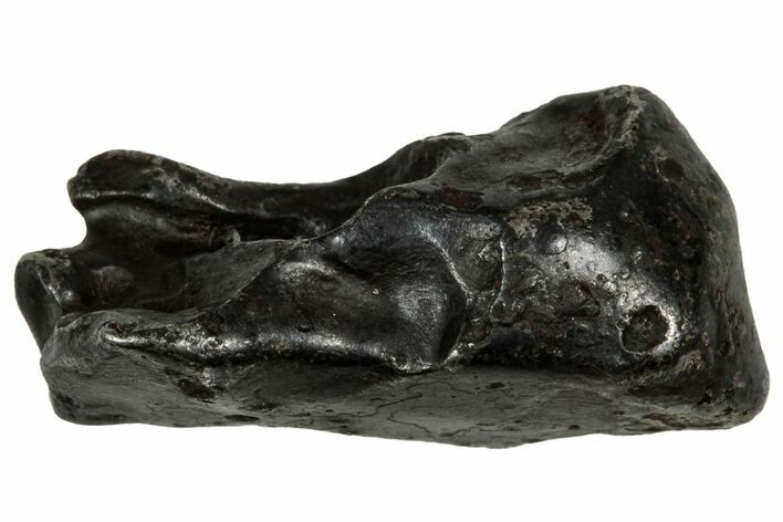Fusion Crusted Sikhote-Alin Iron Meteorite ( g) - Russia #334584